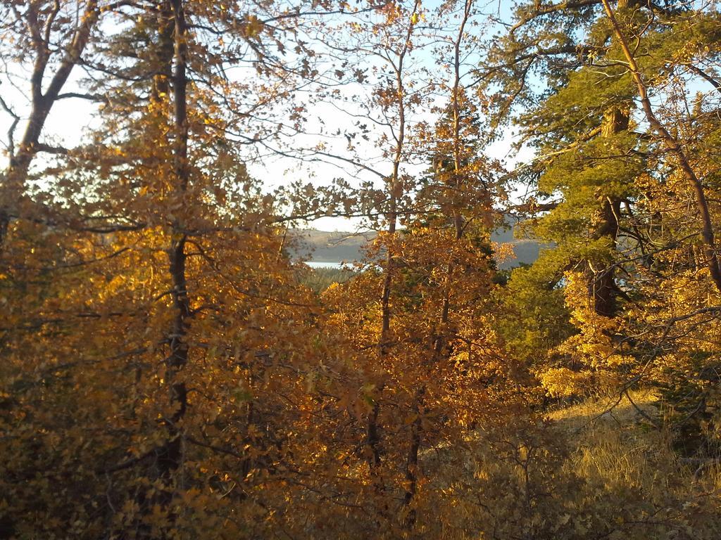 Hillcrest Suites & Cabins Big Bear Lake Eksteriør billede